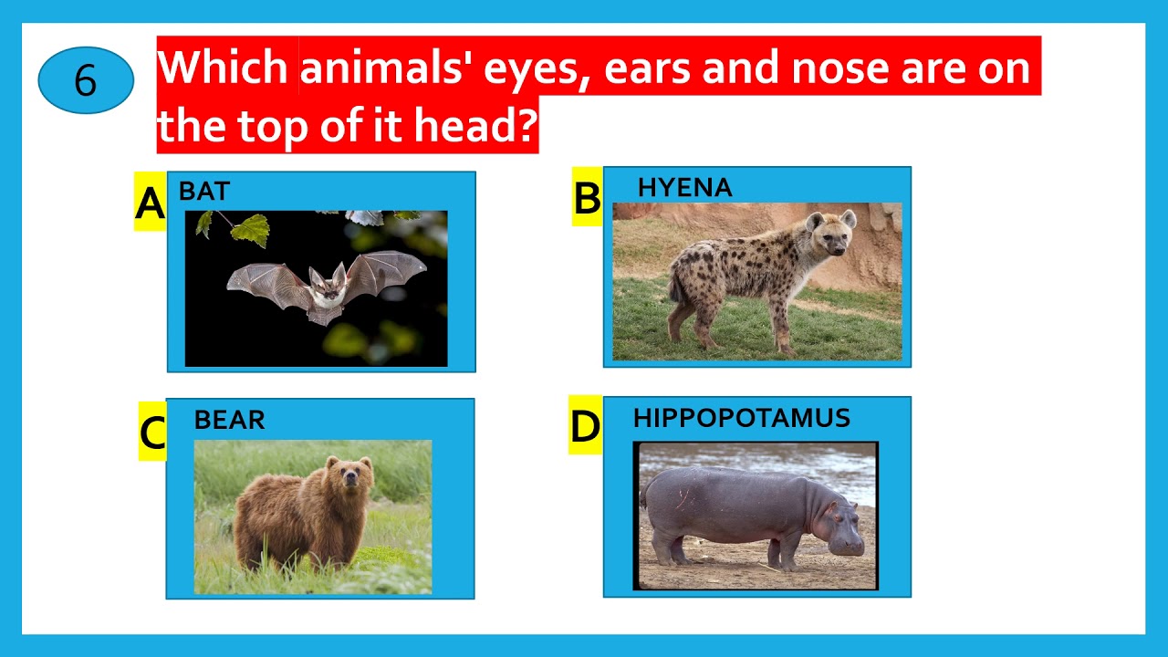 QUIZ FOR KIDS || PART 8 || QUIZ ON ANIMALS || KIDS GK ON ANIMALS || GENERAL KNOWLEDGE FOR CHILDREN