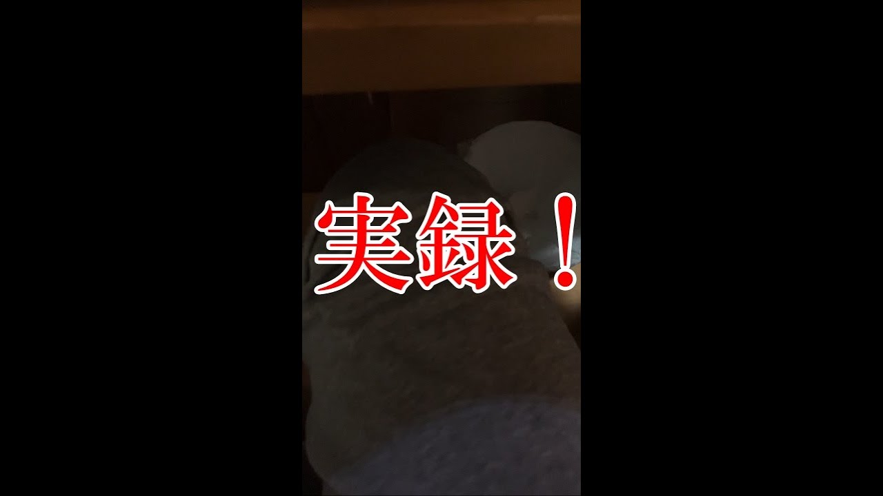 膝ドキュメント
