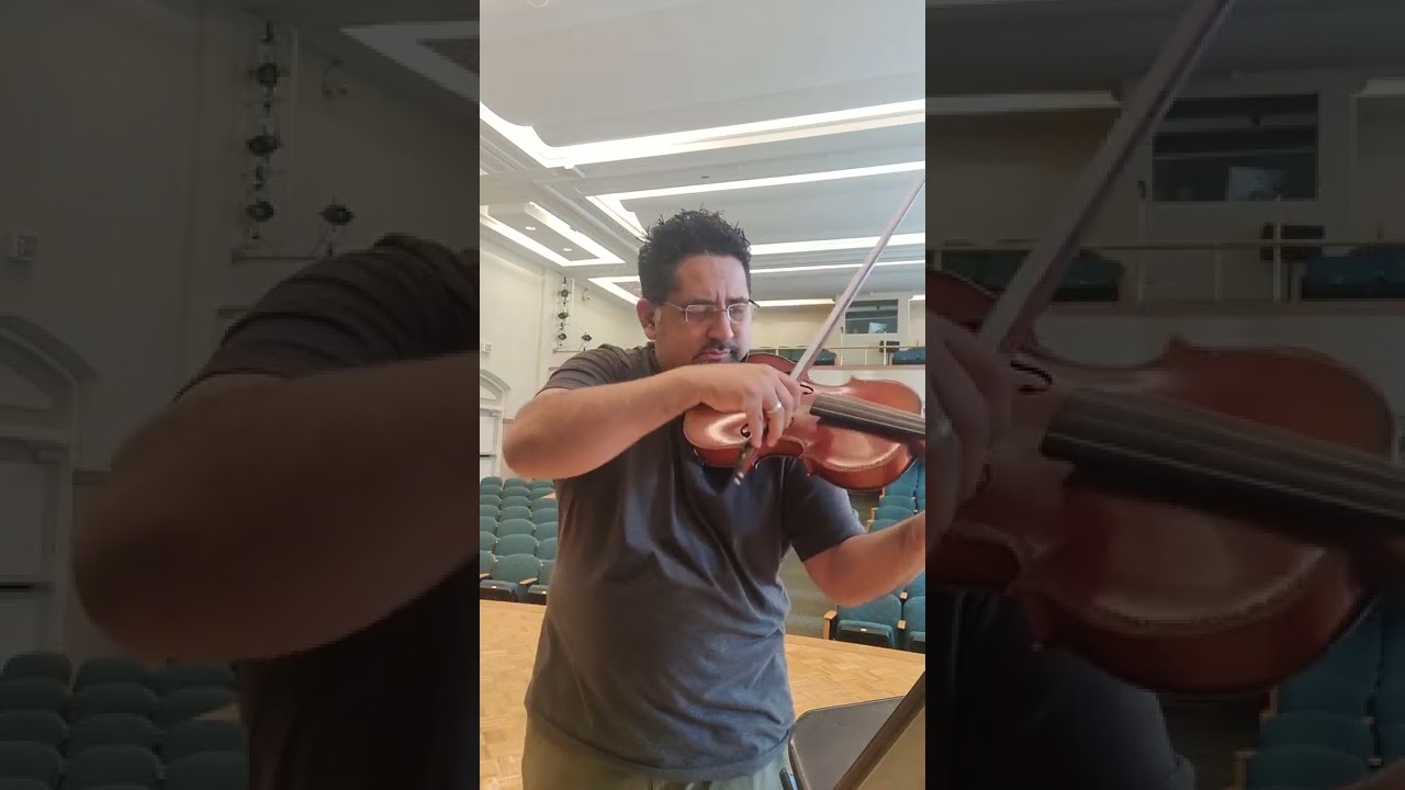 Mazas #7 | All Region Symphonic Orchestra, Viola