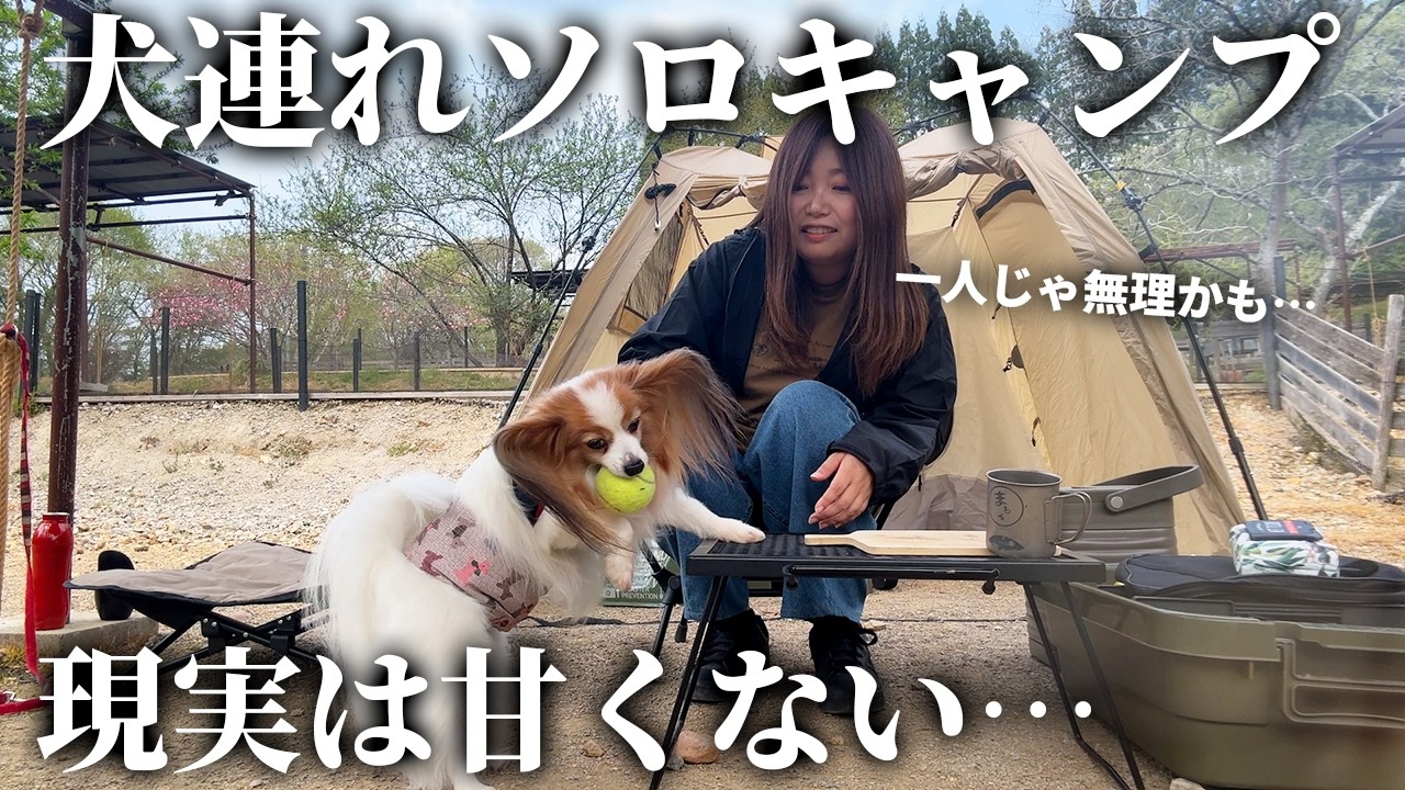 【犬連れソロキャンプ】保護犬とのキャンプ、正直舐めてました【犬山アウトドアベース】