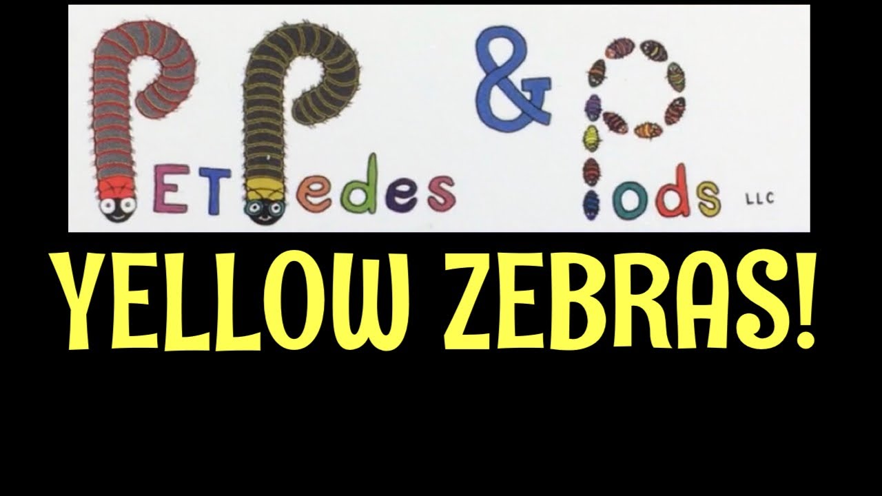 Unboxing YELLOW ZEBRA ISOPODS from Pet Pedes and Pods!