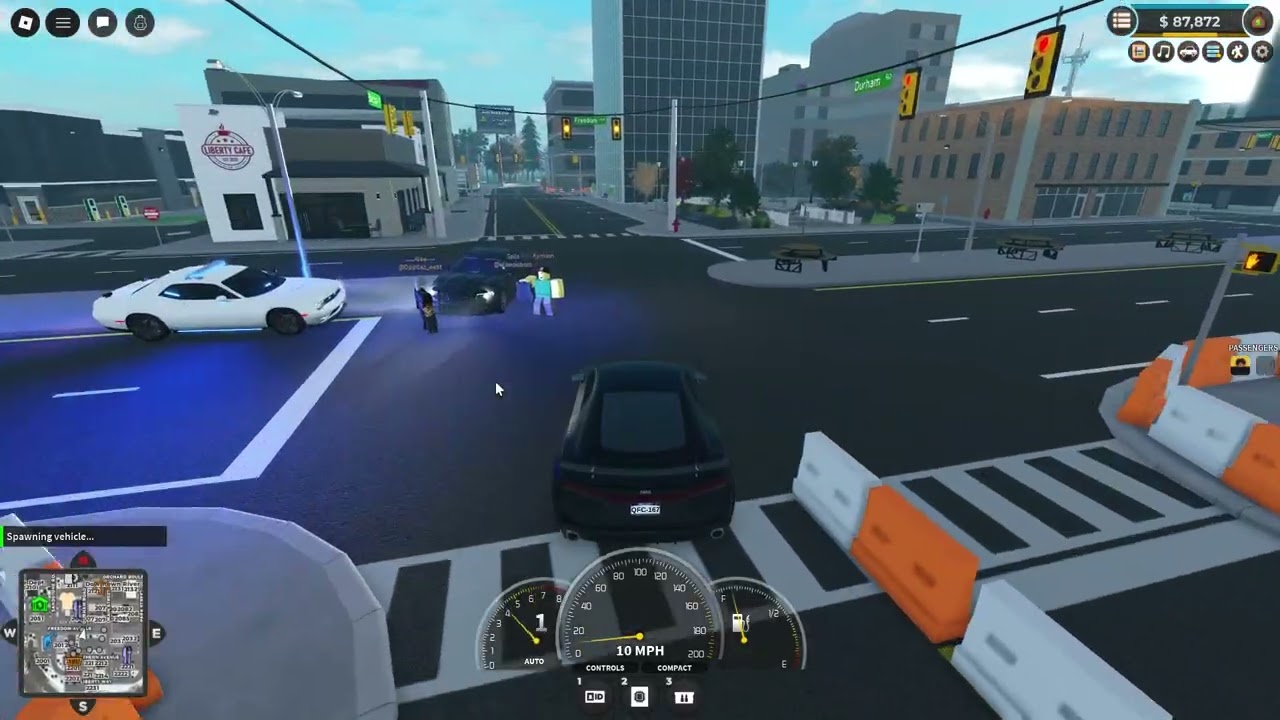 ER:LC Playing a server