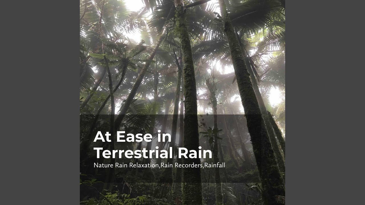 Rain Forest Mystery