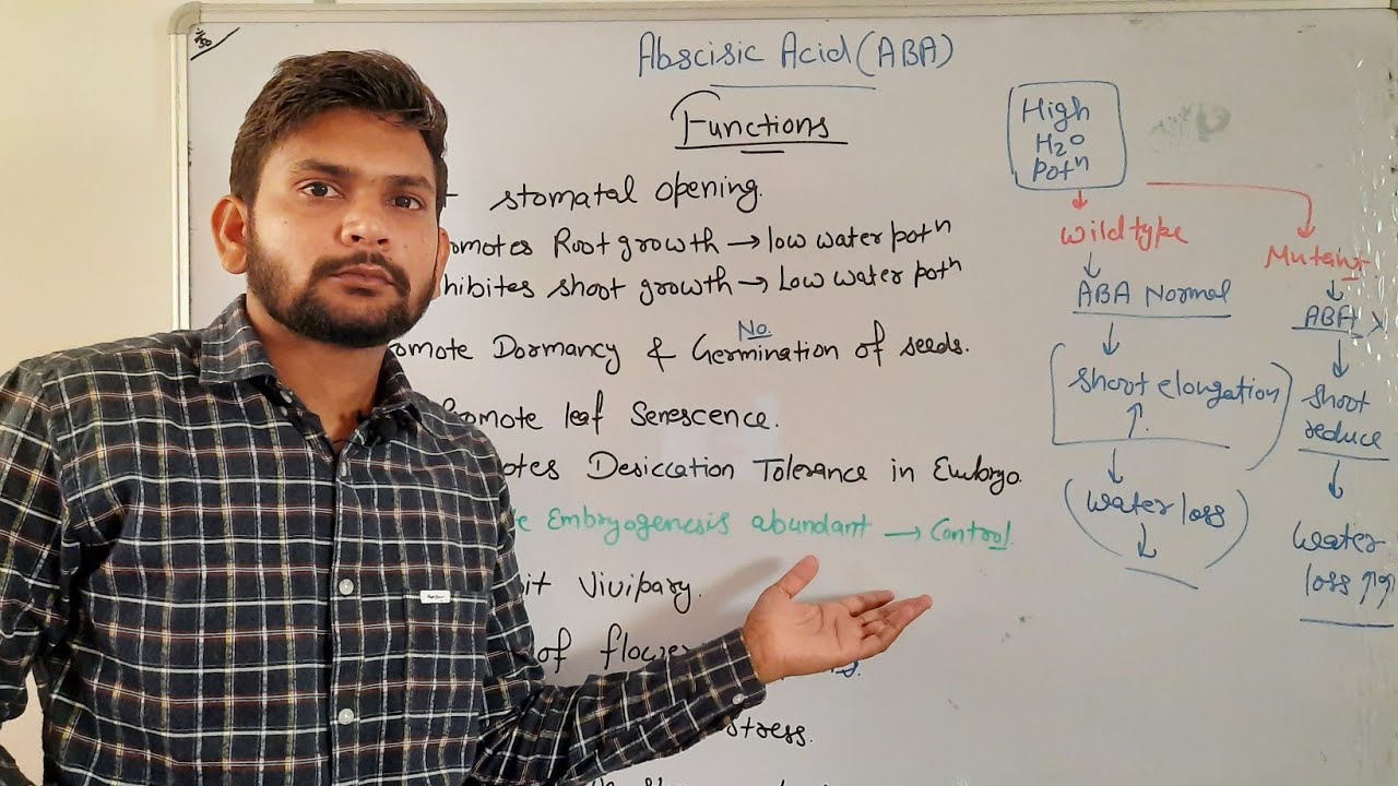 Functions of Abscisic Acid| Phytohormone||CSIR NET| In Hindi