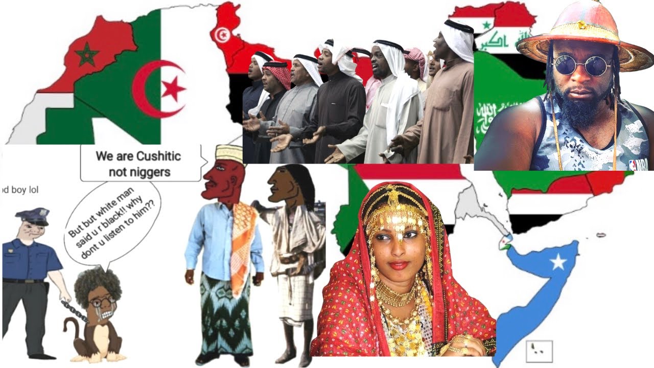 PanArabNews|Somalis only claim Africa when the Arabs rejected them?