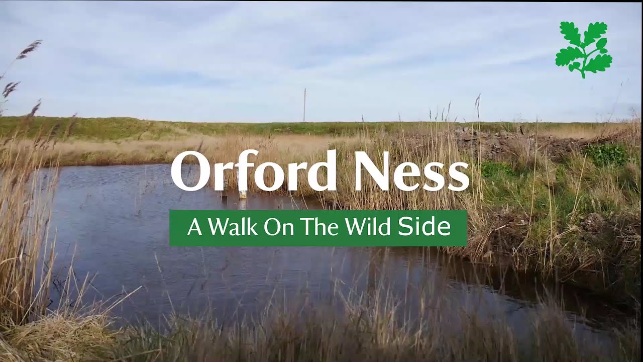 Virtual Suffolk Walking Festival 2021 | National Trust Orford Ness -  A Walk on the Wild Side