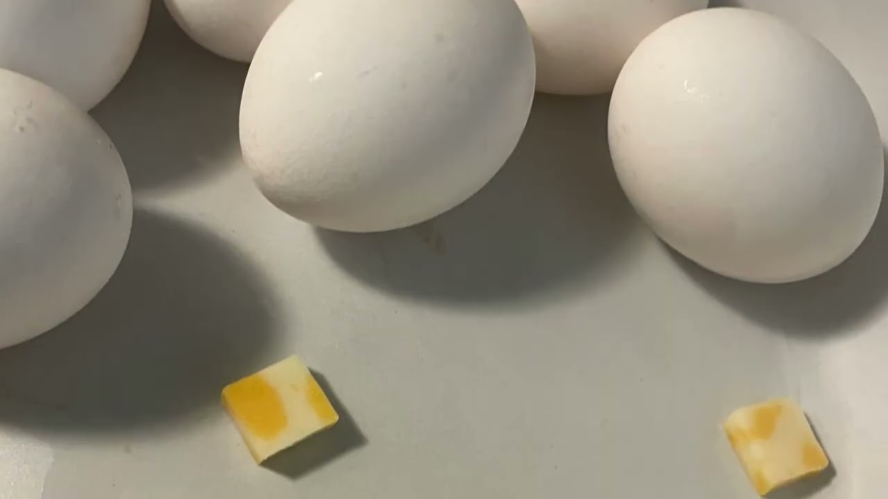 Mis Chilaquiles vámonos 
