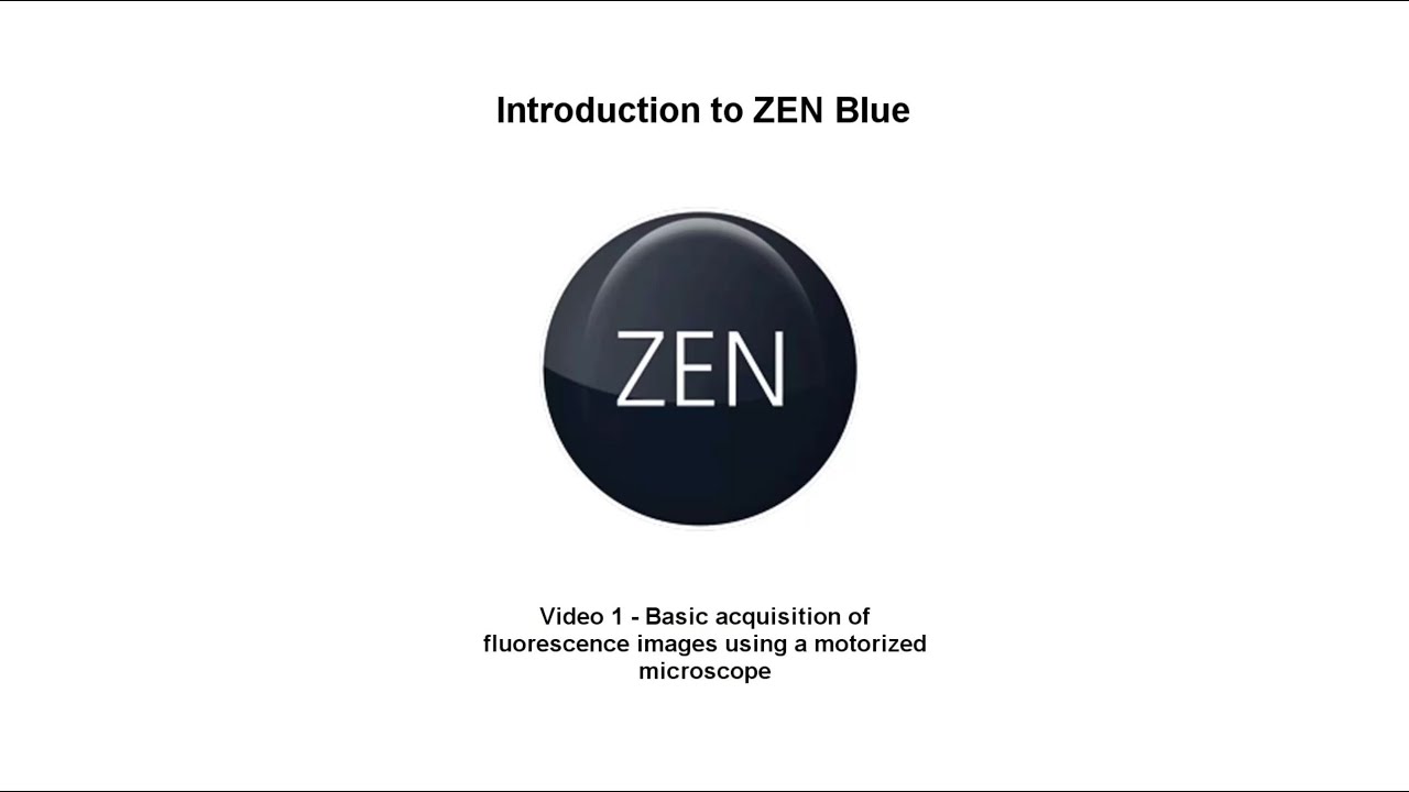 ZEN Blue - Tutorial 1 - Introduction