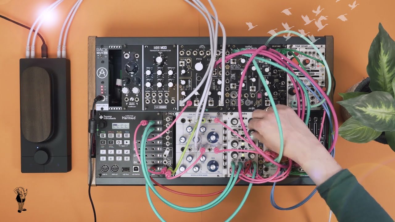 🌋  Stereo Patch with the Buchla & Tiptop Audio 258t & friends  🌋