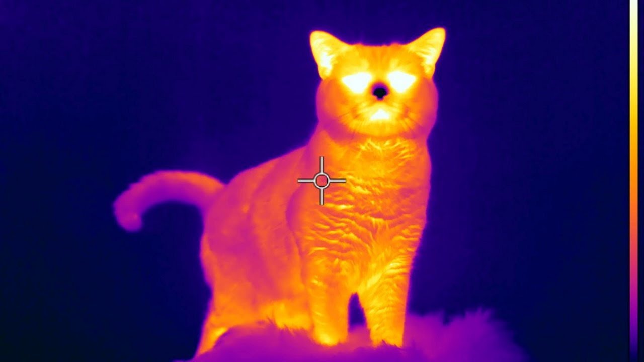 FLIR T1020 - Perfect sensitivity and HD IR resolution / Puikus jautrumas ir HD termo raiška