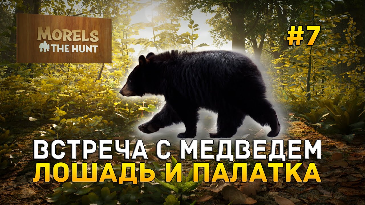 Встреча с Медведем. Лошадь и палатка - Morels: The Hunt #7