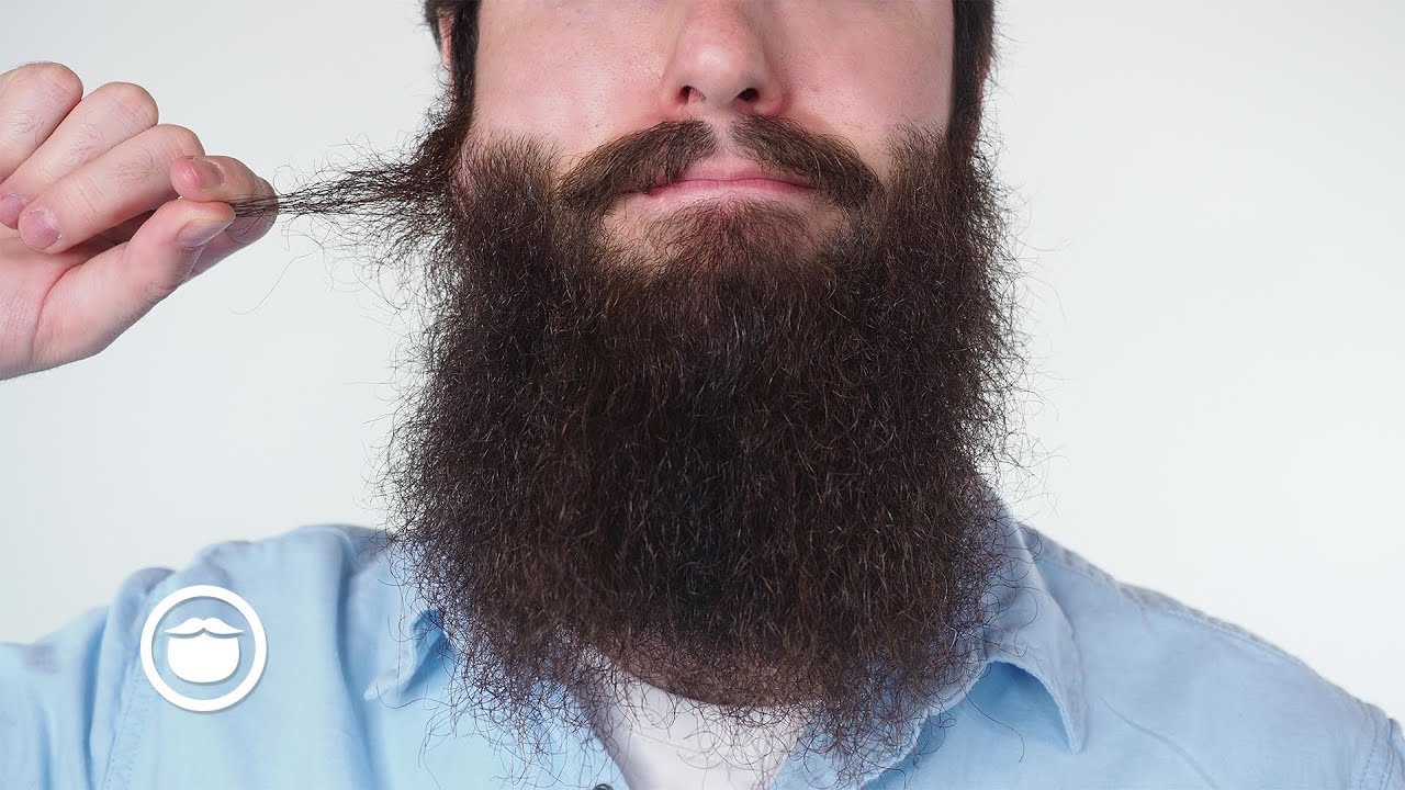 Stop Pulling Out Your Beard Hairs | YEARD WEEK 48