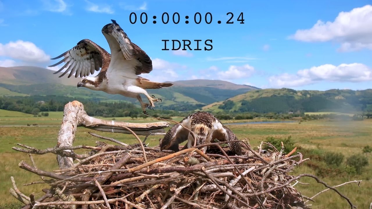 Idris Breaks Another Record