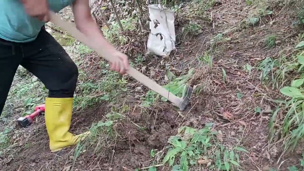 Fındık ocakları teraslama yöntemi