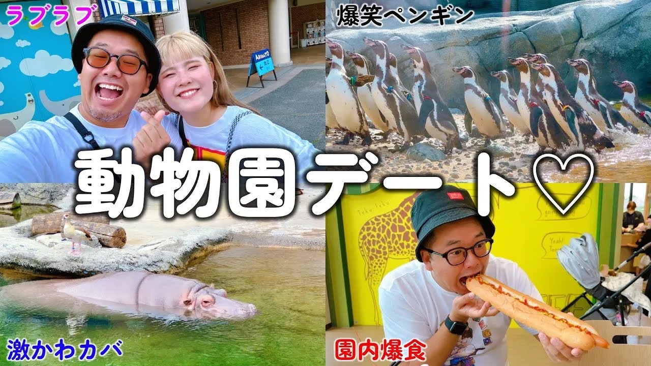 【大阪デートvlog】神コスパの天王寺動物園がやばすぎたっ！！！