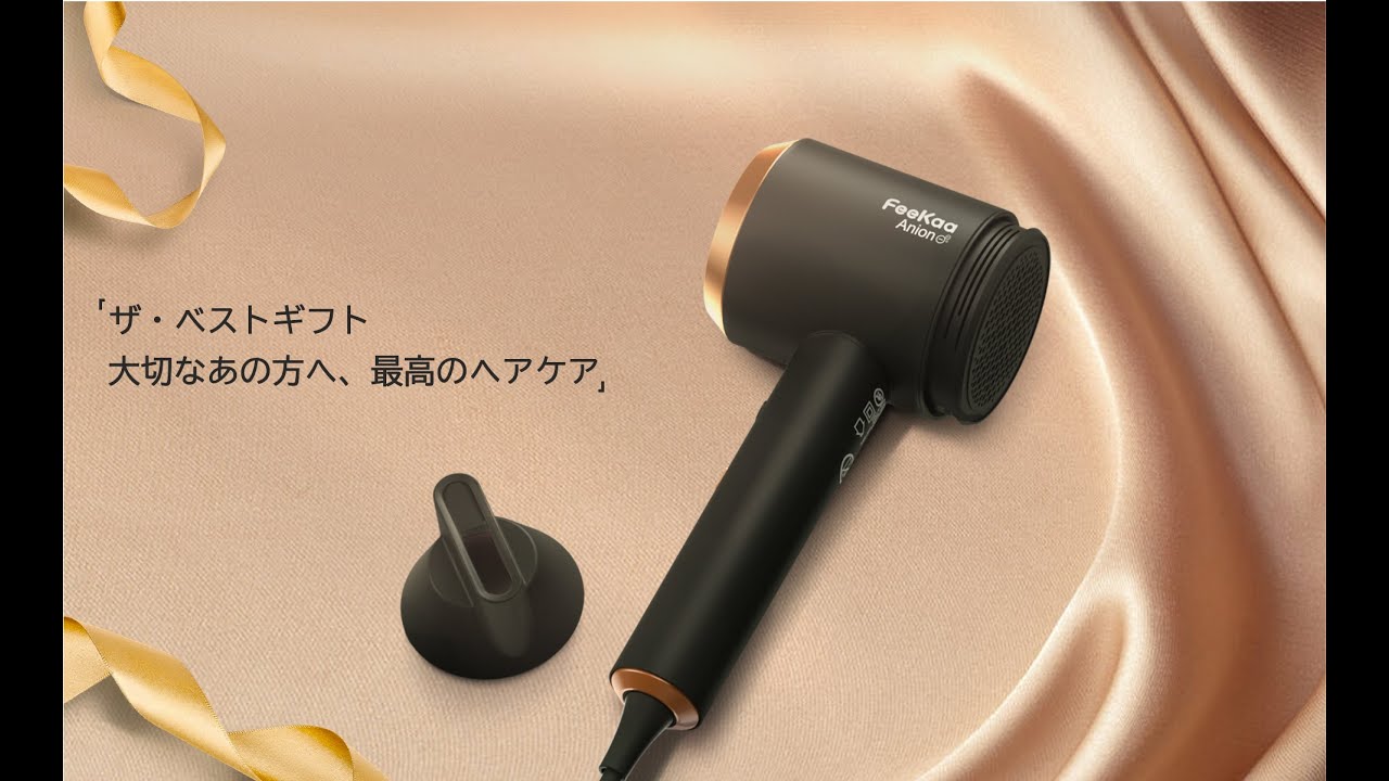 Feekaaスピーディーイオンドライヤー