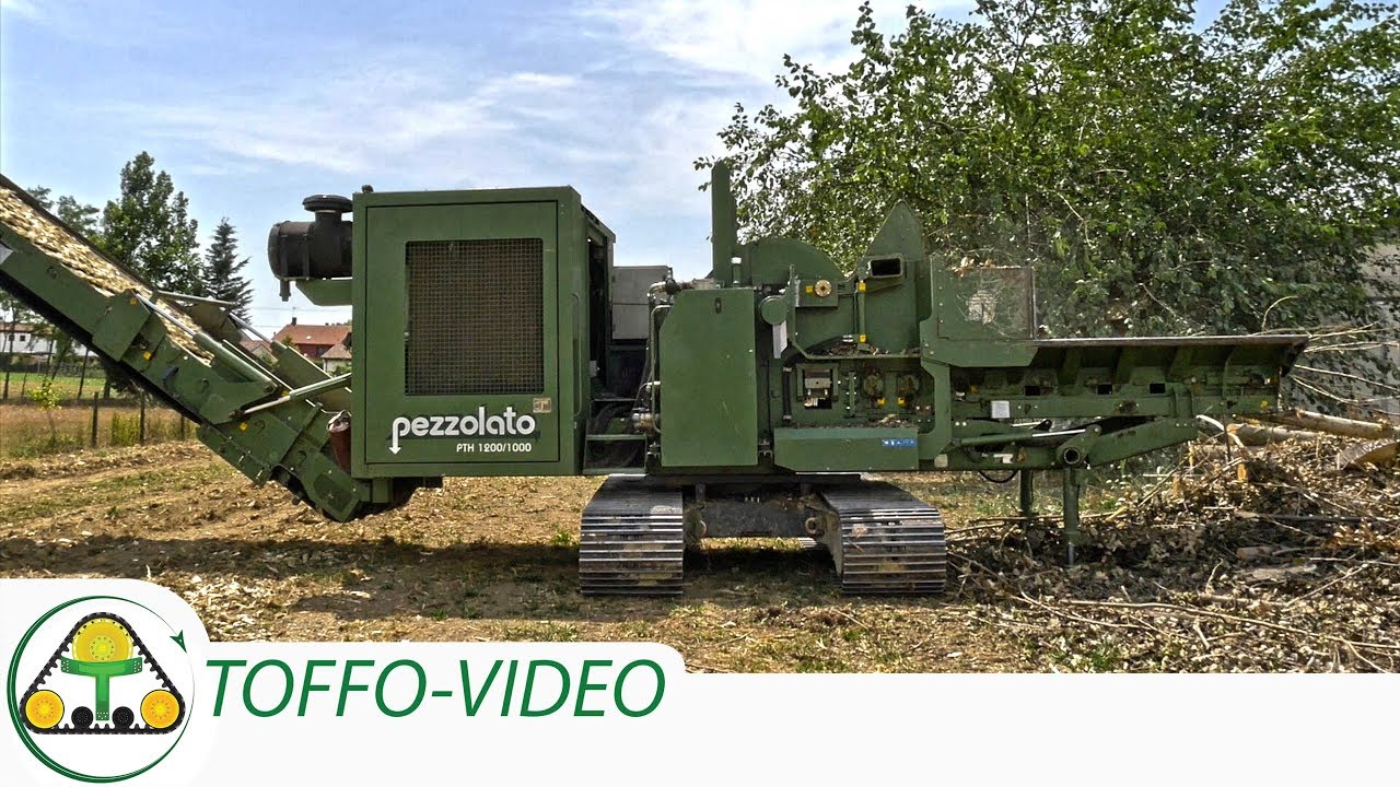 Cippatore Pezzolato PTH 1200/1000 Wood chipping 2016 in Italy (silvicoltura ciclo del pioppo)