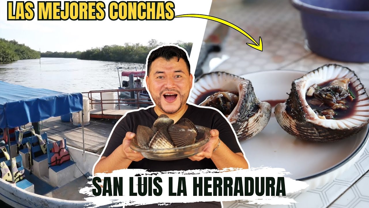 LOS MEJORES COCTELES de CONCHAS en EL SALVADOR | San Luis La Herradura