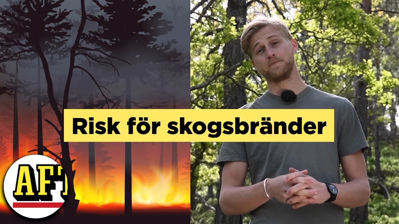 S&Aring; FUNKAR SKOGSBR&Auml;NDER &ndash; Meteorologen f&ouml;rklarar