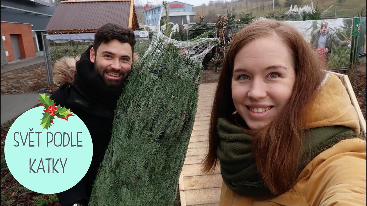 VLOGMAS Den 7. | Máme stromeček!