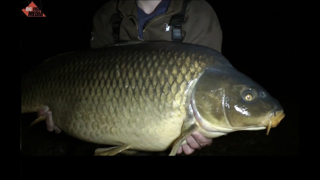Karpfenangeln mit XXL - Ködern Teil 2: Riesen-Pellets