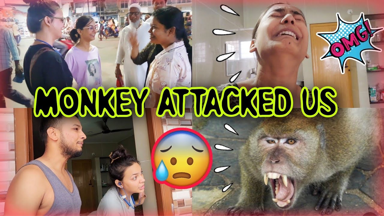 MONKEYS Ne RANI Par Kiya ATTACK 🐒🤣 | We Accidentally MET OUR SUBSCRIBERS In Vellore 🥰