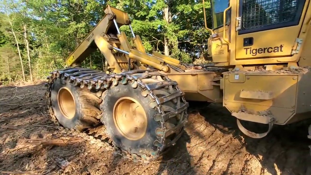 Tigercat country