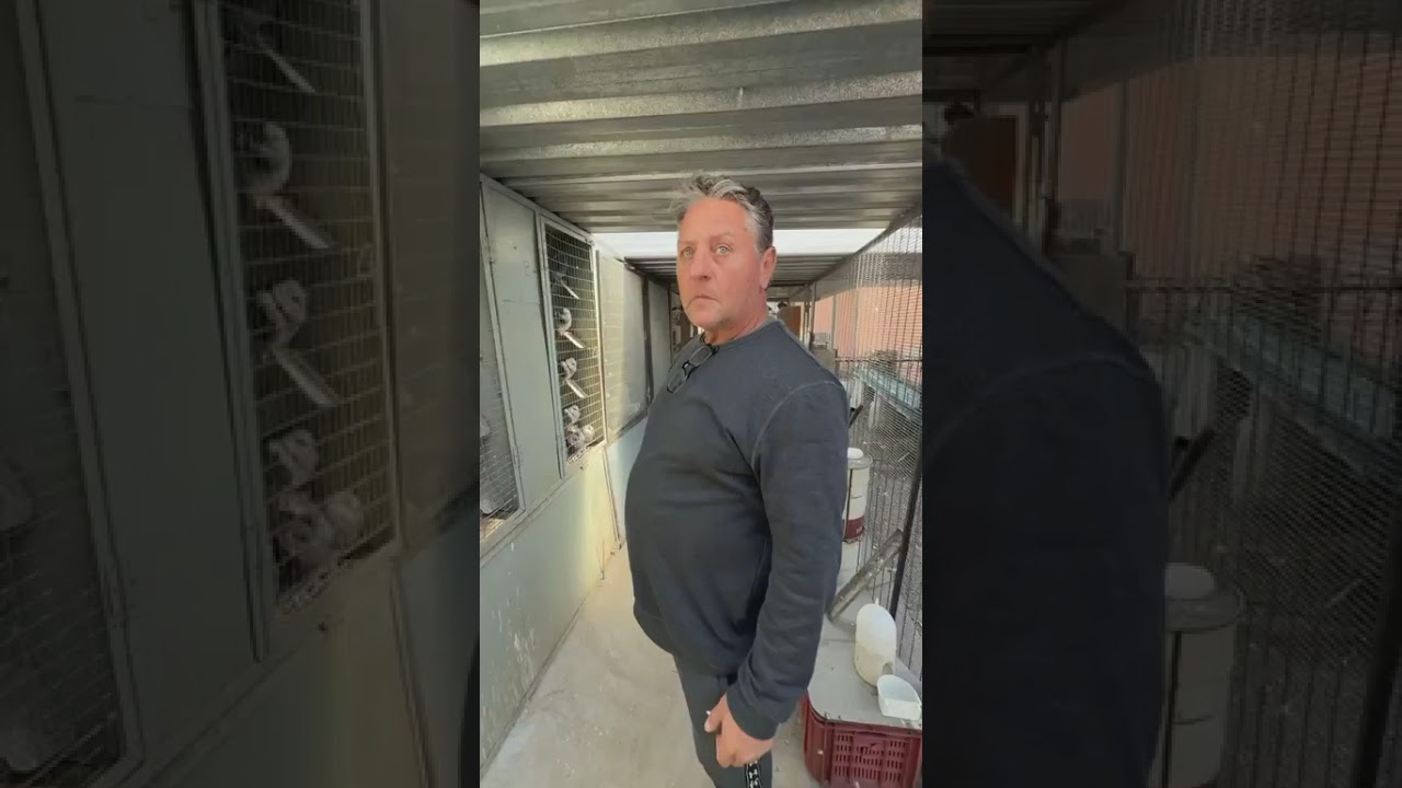 Riaan Naude - RSA - Facebook Live Fun Fly WC 25