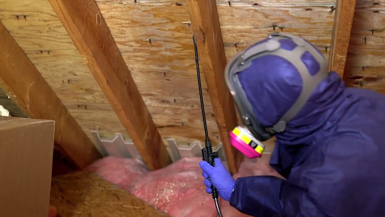 Mold-X2 Kills Mold in Crawl Spaces and Attics & Helps Prevent Future  Growth.