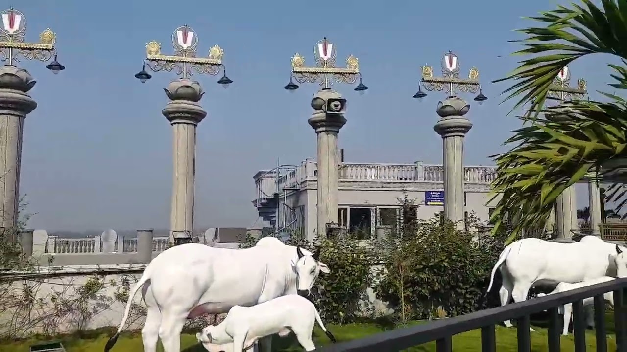 Swarnagiri Sree Venkateswara Swamy Devasthanam Bhuvanagiri,(Mysuru to Hydarabad telangana)
