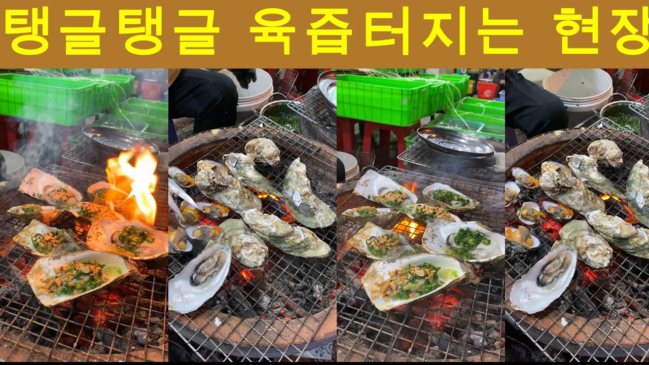 🇻🇳 베트남의 설연휴 풍경
