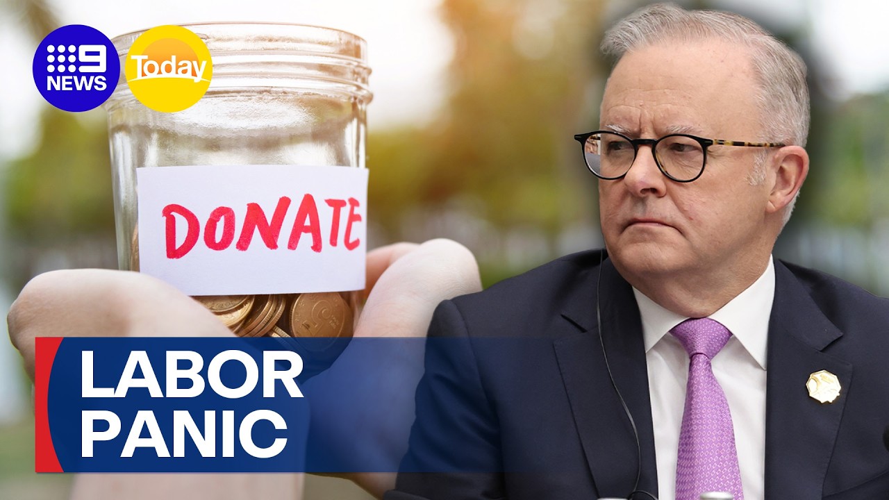 Labor donations to counter One Nation | 9 News Australia
