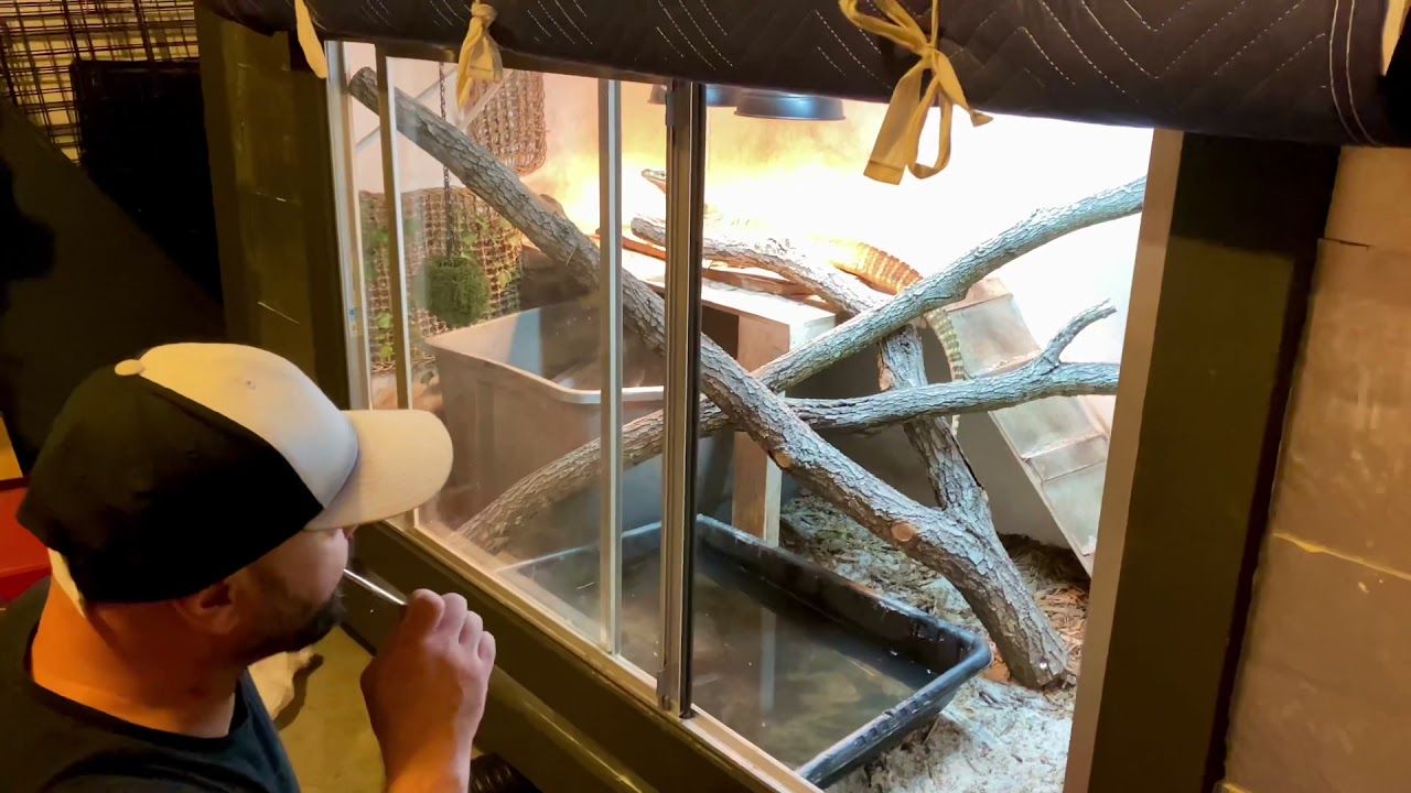￼Meet Shikra ￼the Argus Monitor