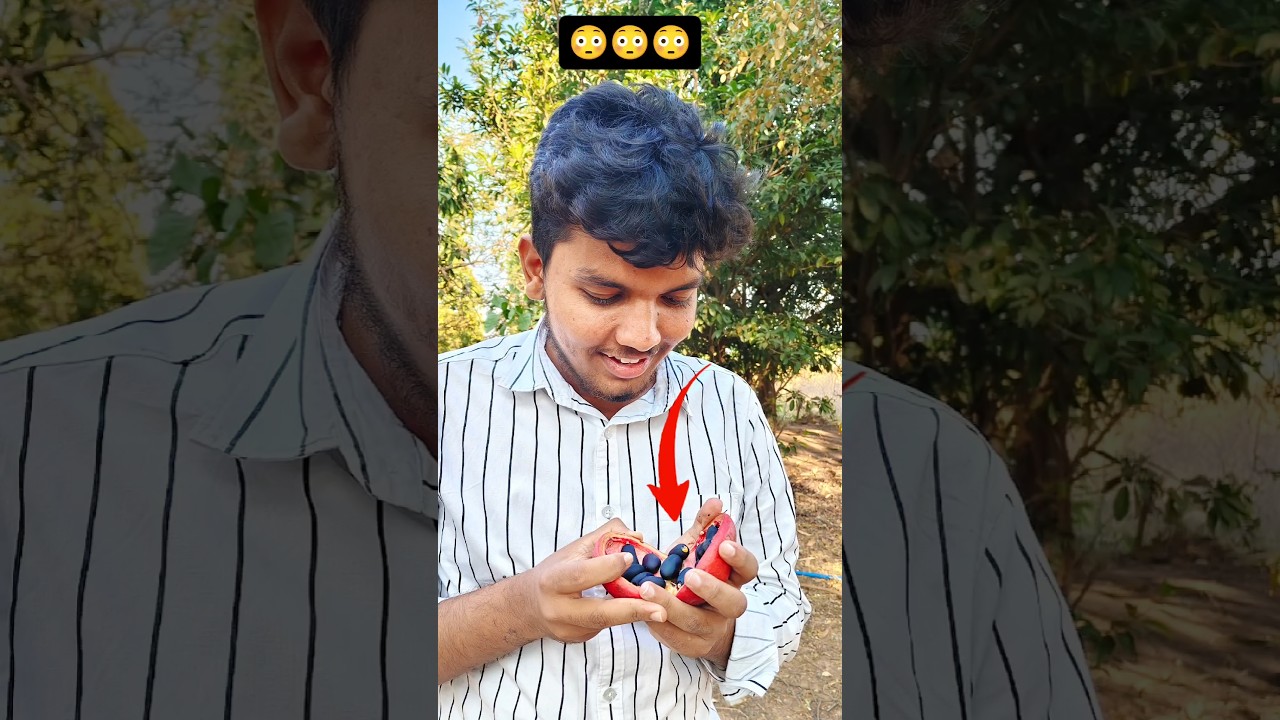 Ee Fruit Peru Cheppagalara? 🤯😳🤔 