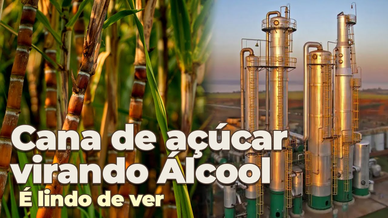Antigo ENGENHO ativo a mais de 100 anos | Parece mágica - COOAFSUL