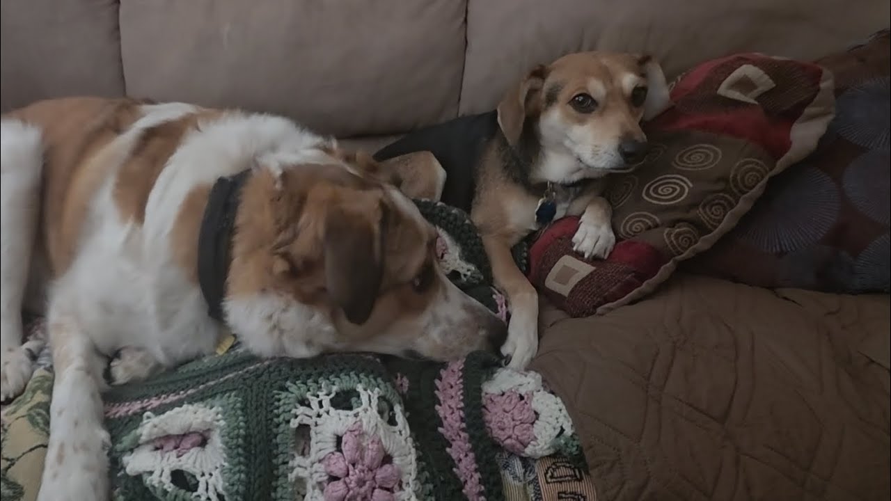 Couch Time