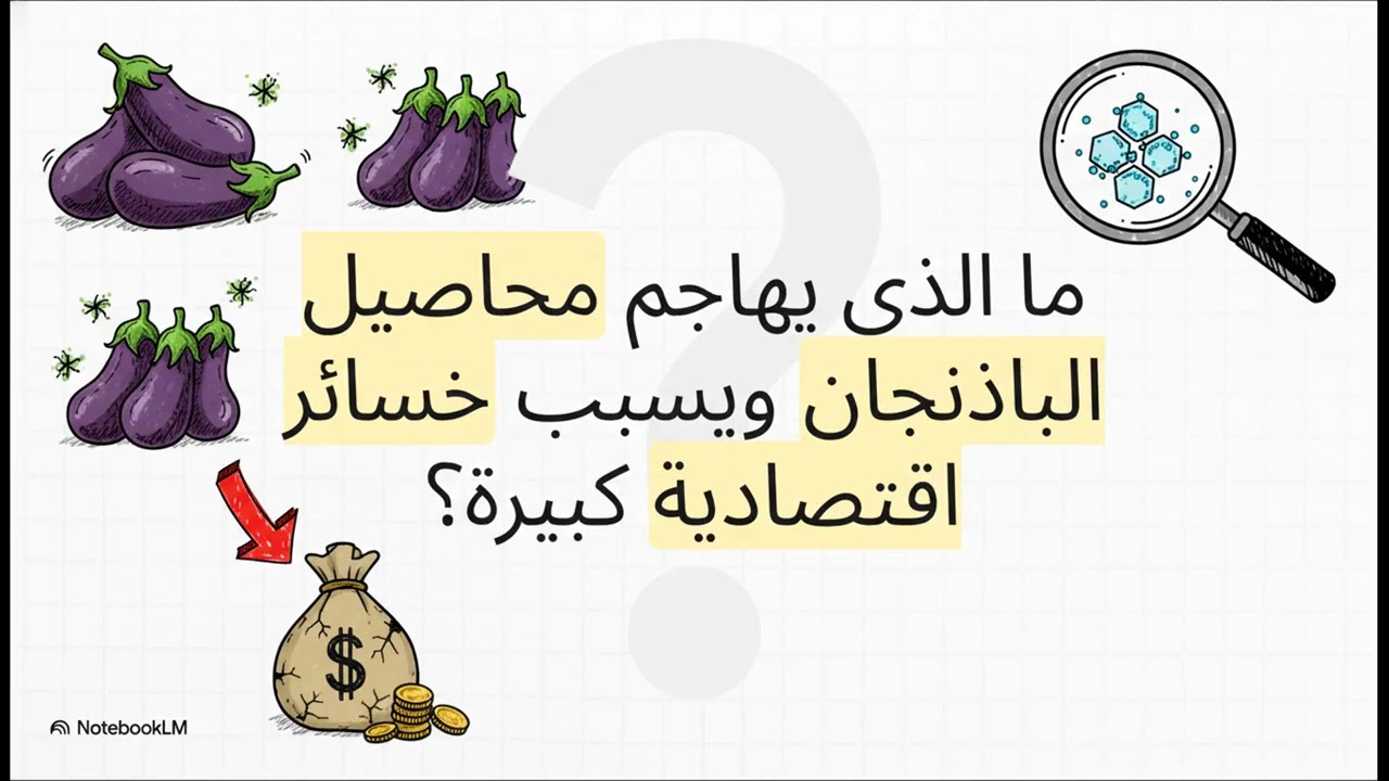 عدو صغير 🔬سبب خسائر الباذنجان 🌱 الحقيقي