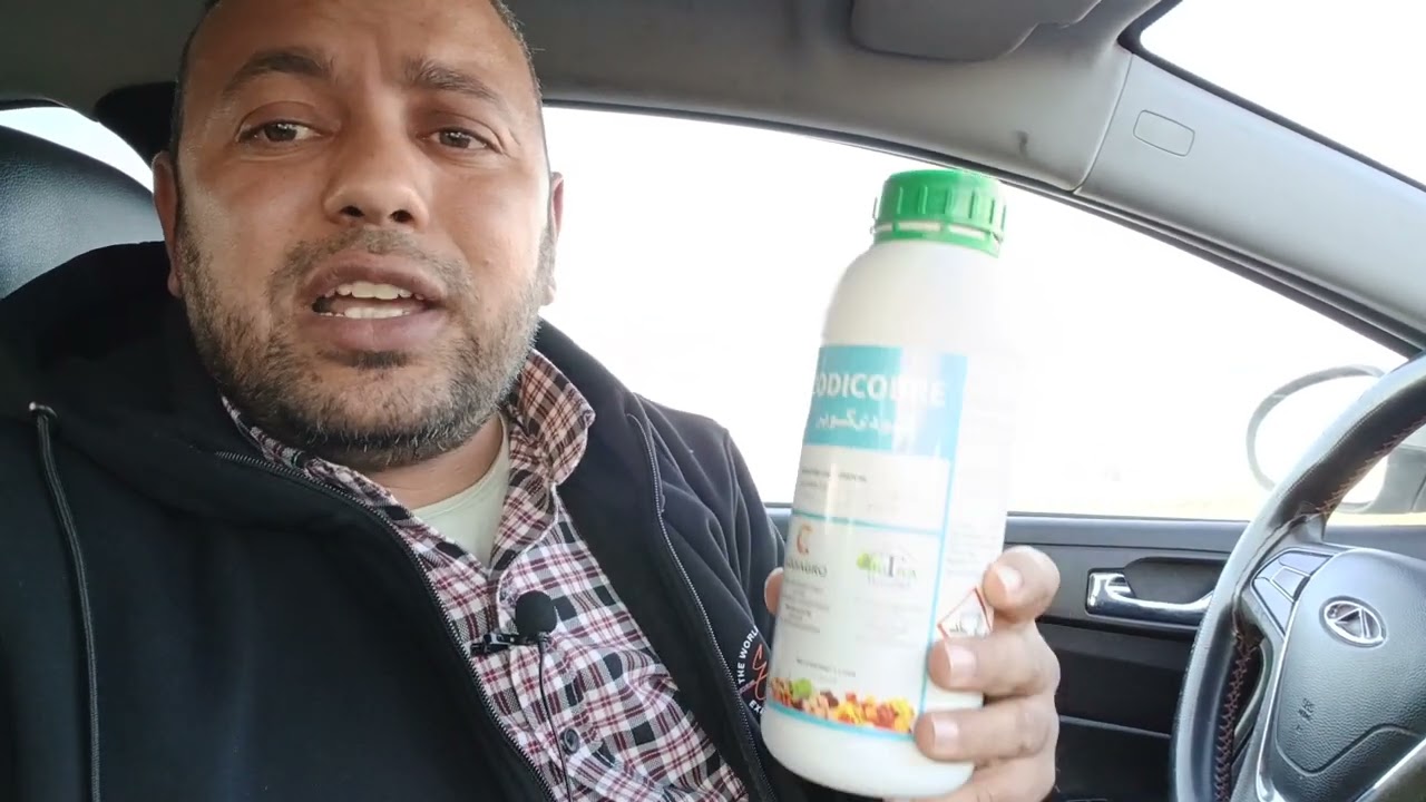 كودى كوبر جلوكونات النحاس شركة دوترا