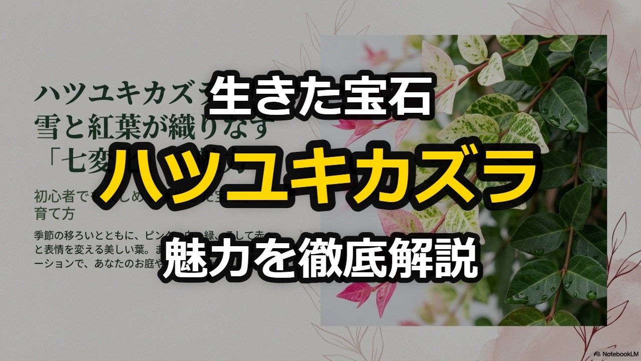 「生きた宝石」初雪カズラの魅力を徹底解説！七変化する葉の秘密と失敗しない育て方
