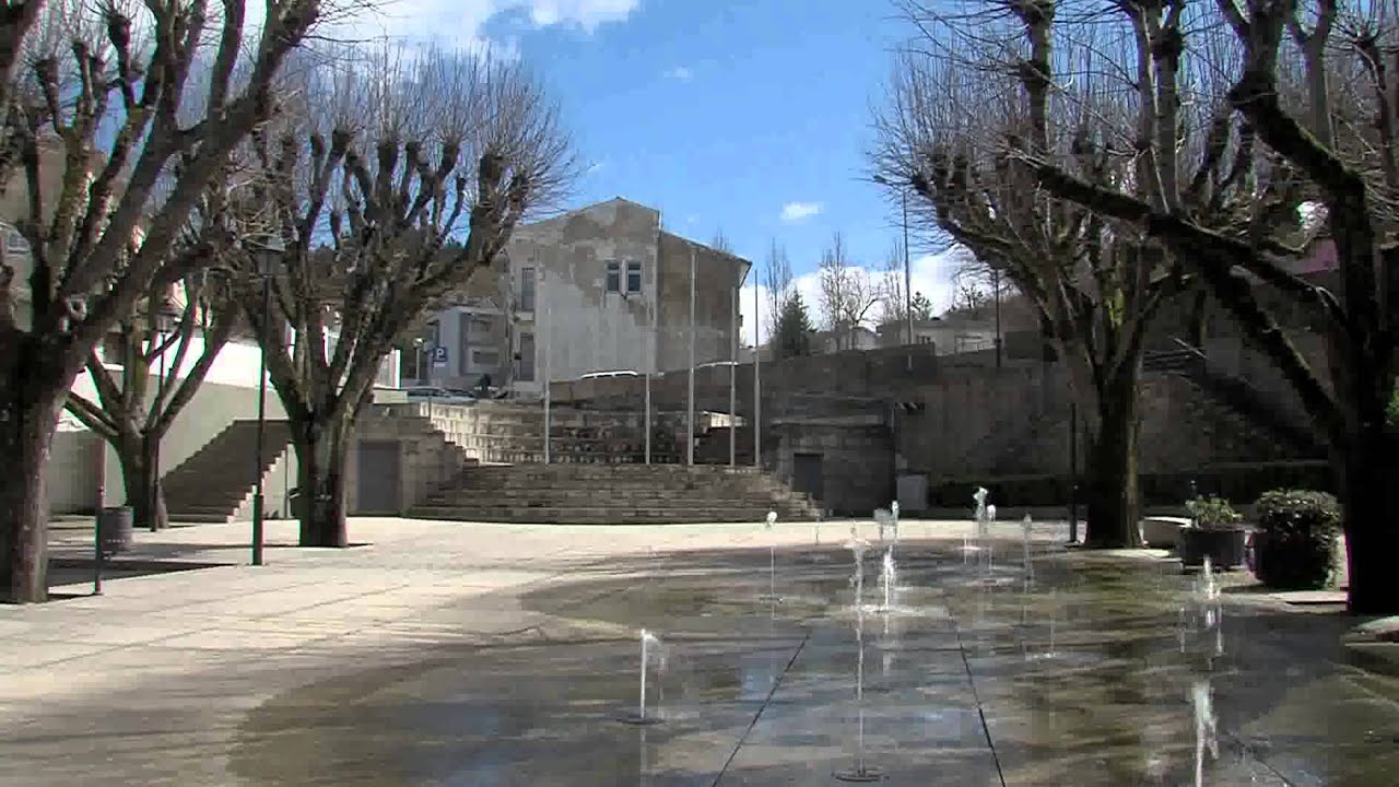 CM Cinfães
