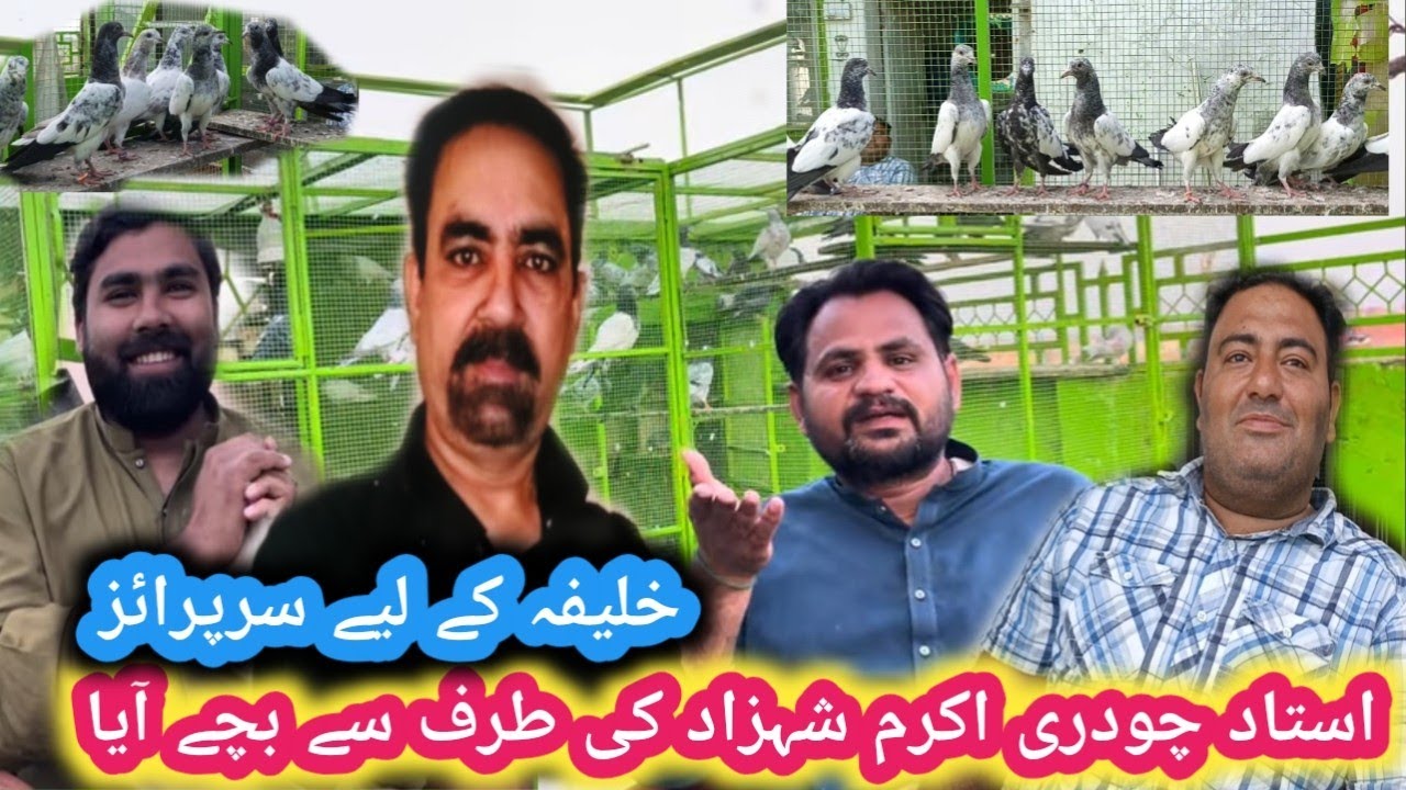 استاد جی کی طرف سے چیتر کے لیے پروازی بچے ائے Ustad Ji Ne Pravazi bacche bheje
