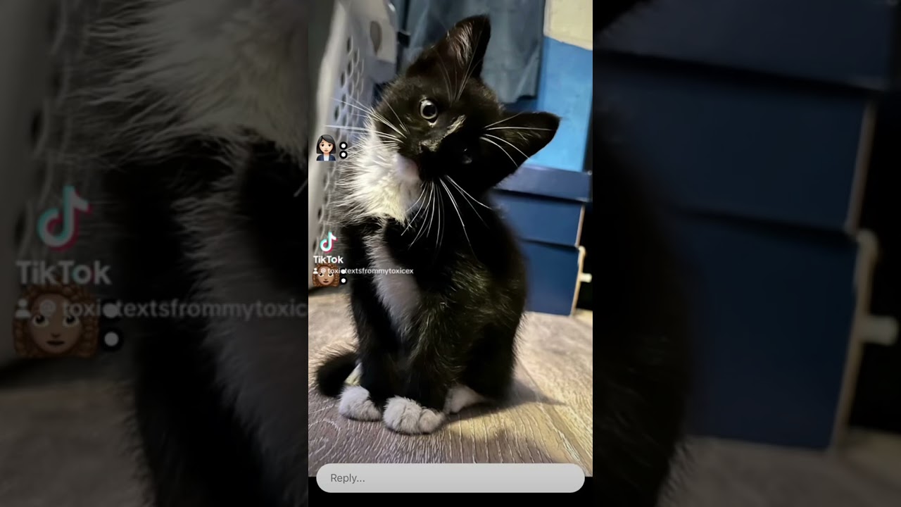 Бри и Бозо часть 25