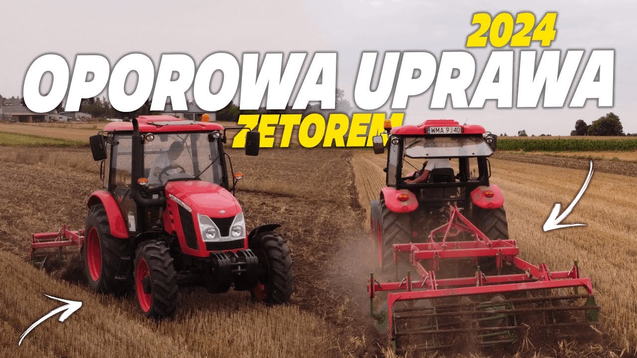 🔥Prace Pożniwne 2024 Czas Zacząć🔥Gruberowanie Zetorem🔥 ||Zetor Major cl 80 & Unia Kos