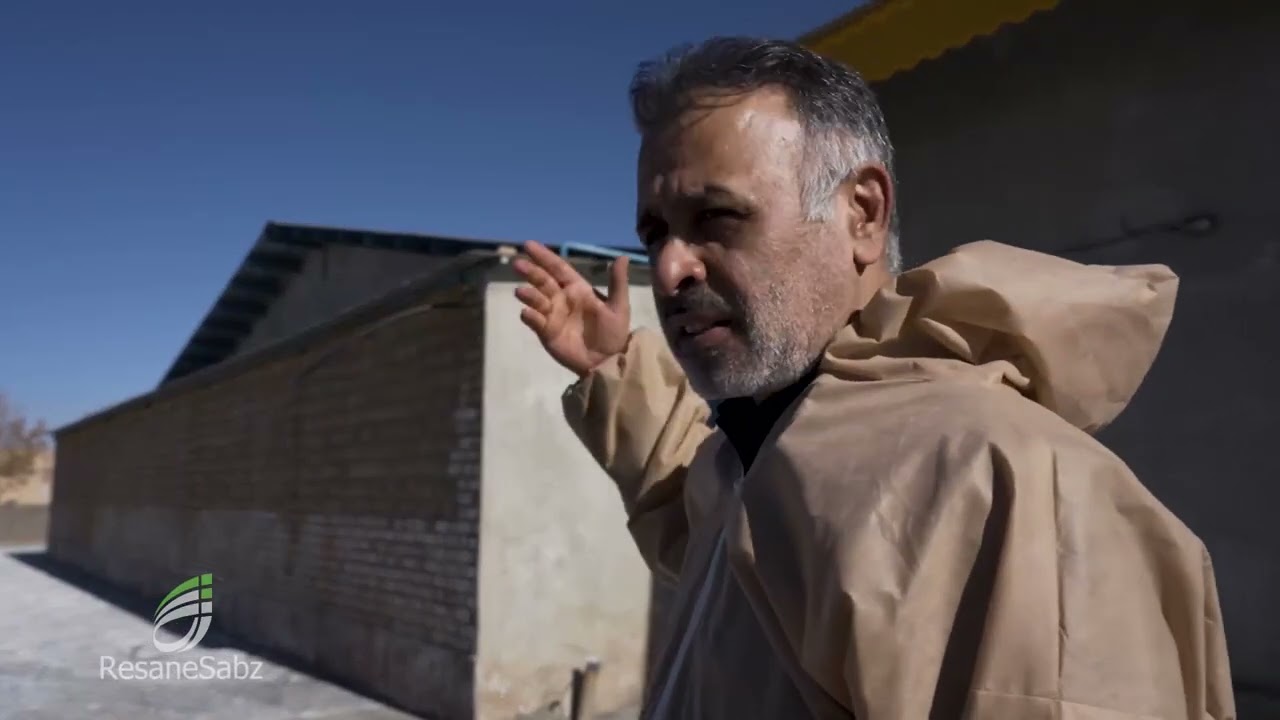 پرورش مرغ گوشتی