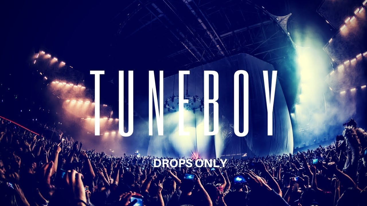 |HARDSTYLE DROPS ONLY| Tuneboy @ Qlimax 2016