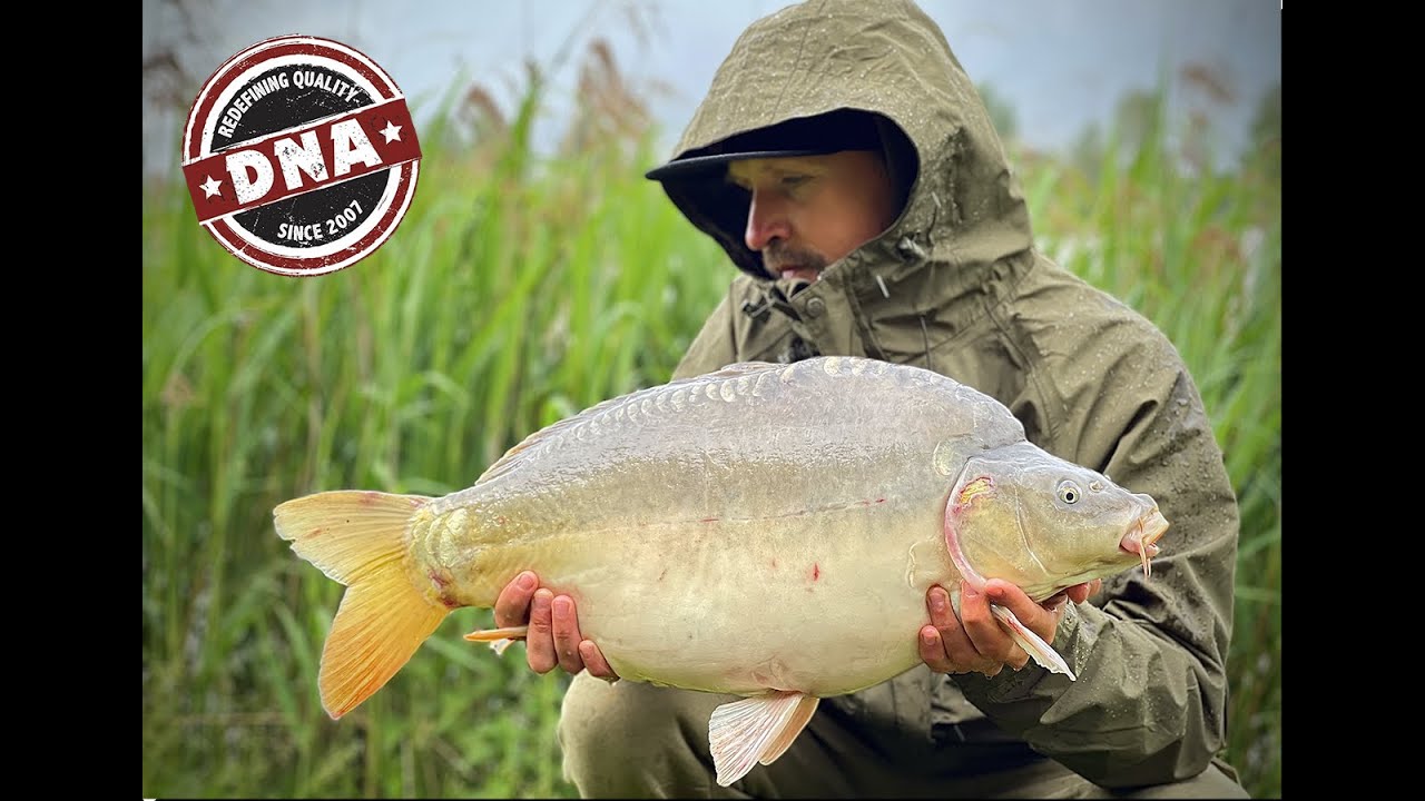 27 Karpas (Carp Fishing), DNA Baits, Nash Base Camp