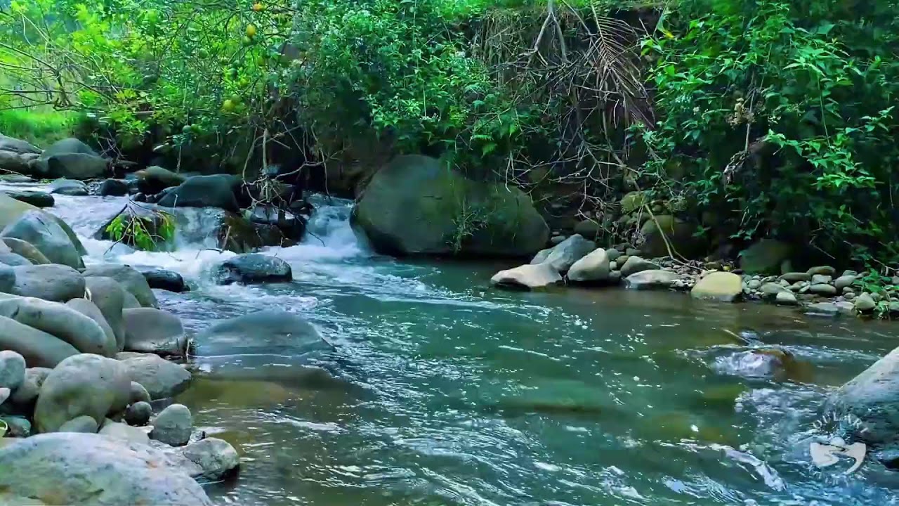 River Sounds for Sleeping. Waterfall Flowing Mountain Forest 24/7. Waterfall Sounds, White Noise #2