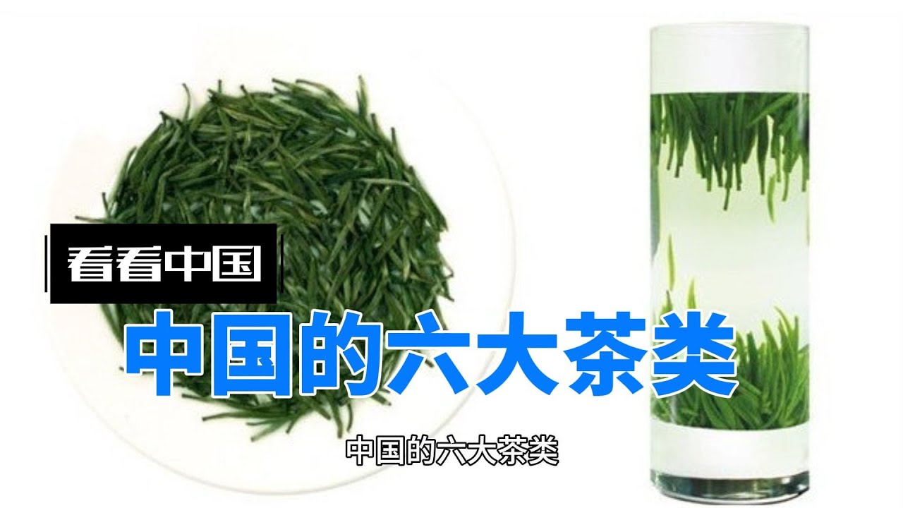 中国的六大茶类 #中国茶文化 #绿茶 #红茶 #白茶 #黄茶 #乌龙茶 #黑茶 #茶制作工艺 #茶文化历史 #中国传统茶
