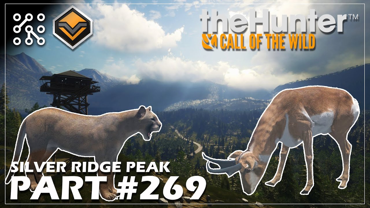 Má nejlepší místa lovit pumy, medvědy a vidlorohy #269 | The Hunter: Call of the wild CZ  |  Česky