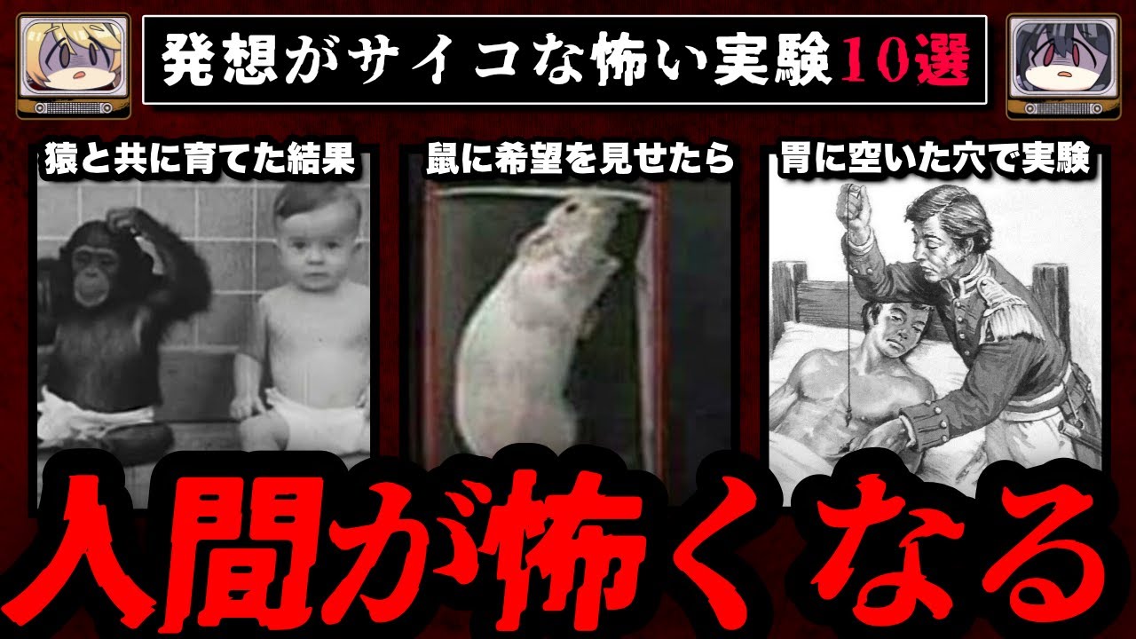 【人間の狂気】発想がサイコな怖い実験10選【ゆっくり解説】